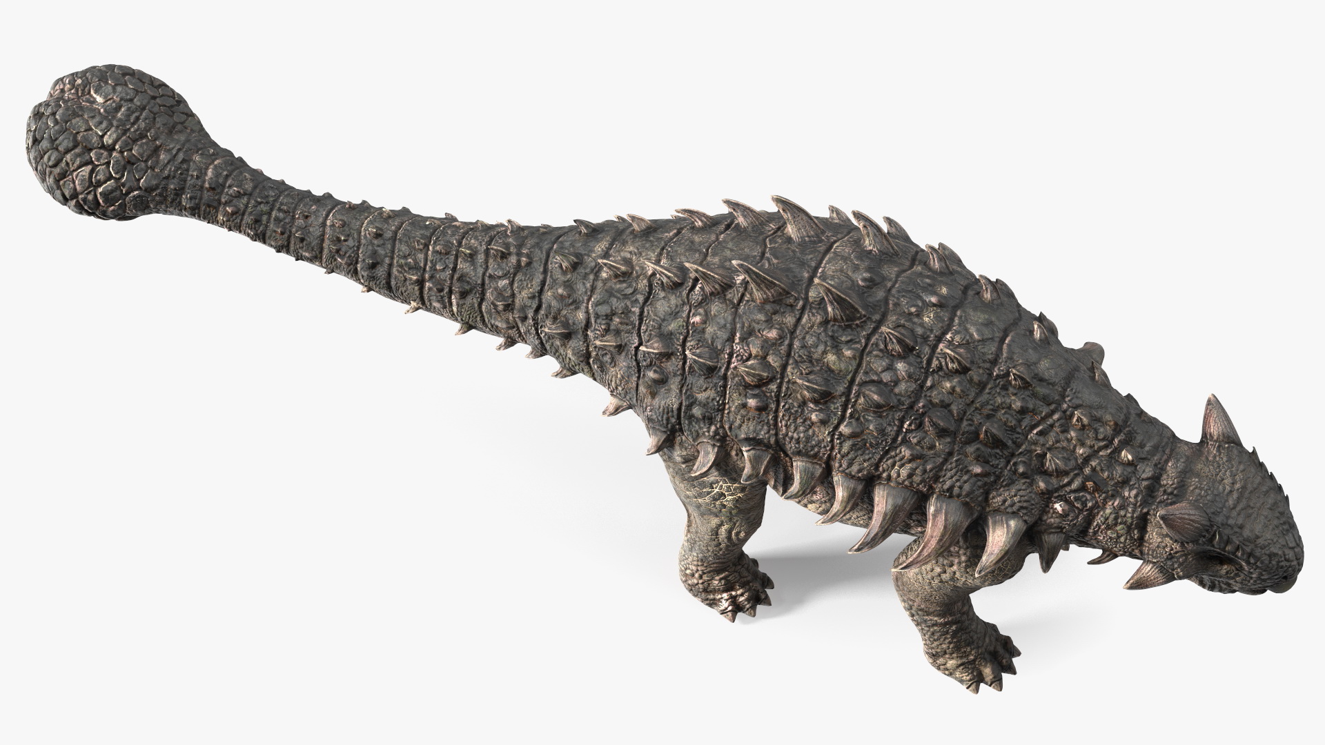3D Alkylosaurus of Tropical Habitat Rigged for Cinema 4D model