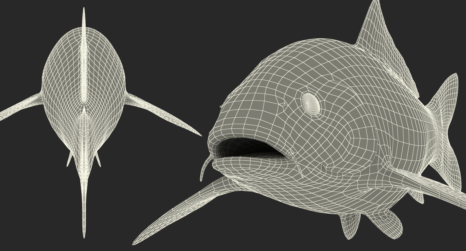 Harivake Koi Fish 3D