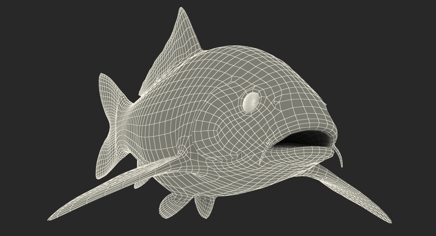 Harivake Koi Fish 3D