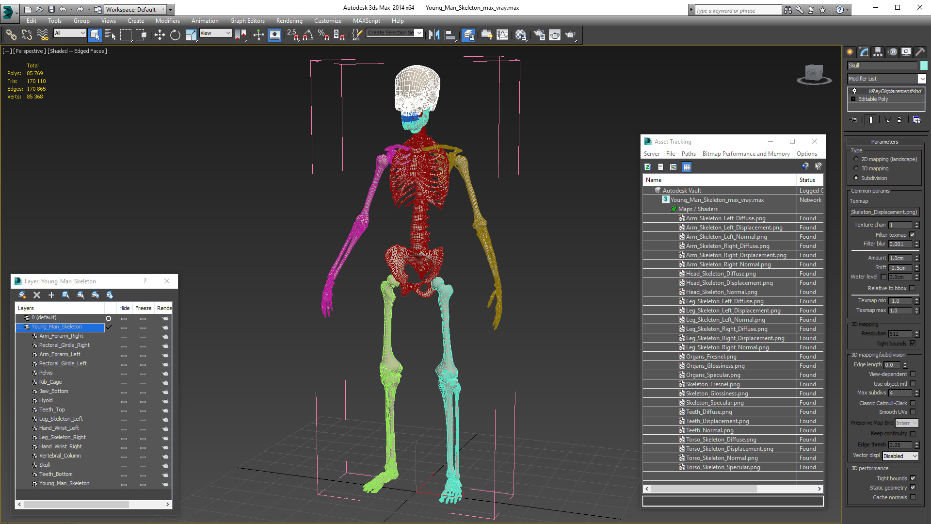 3D Young Man Skeleton model