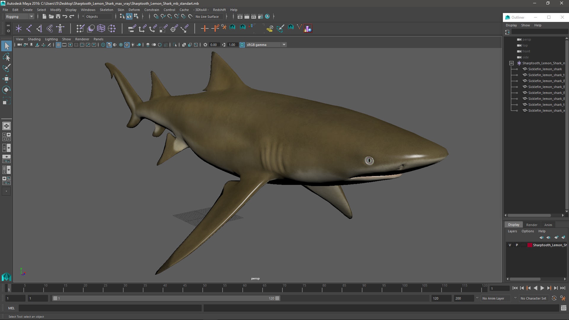 Sharptooth Lemon Shark 3D