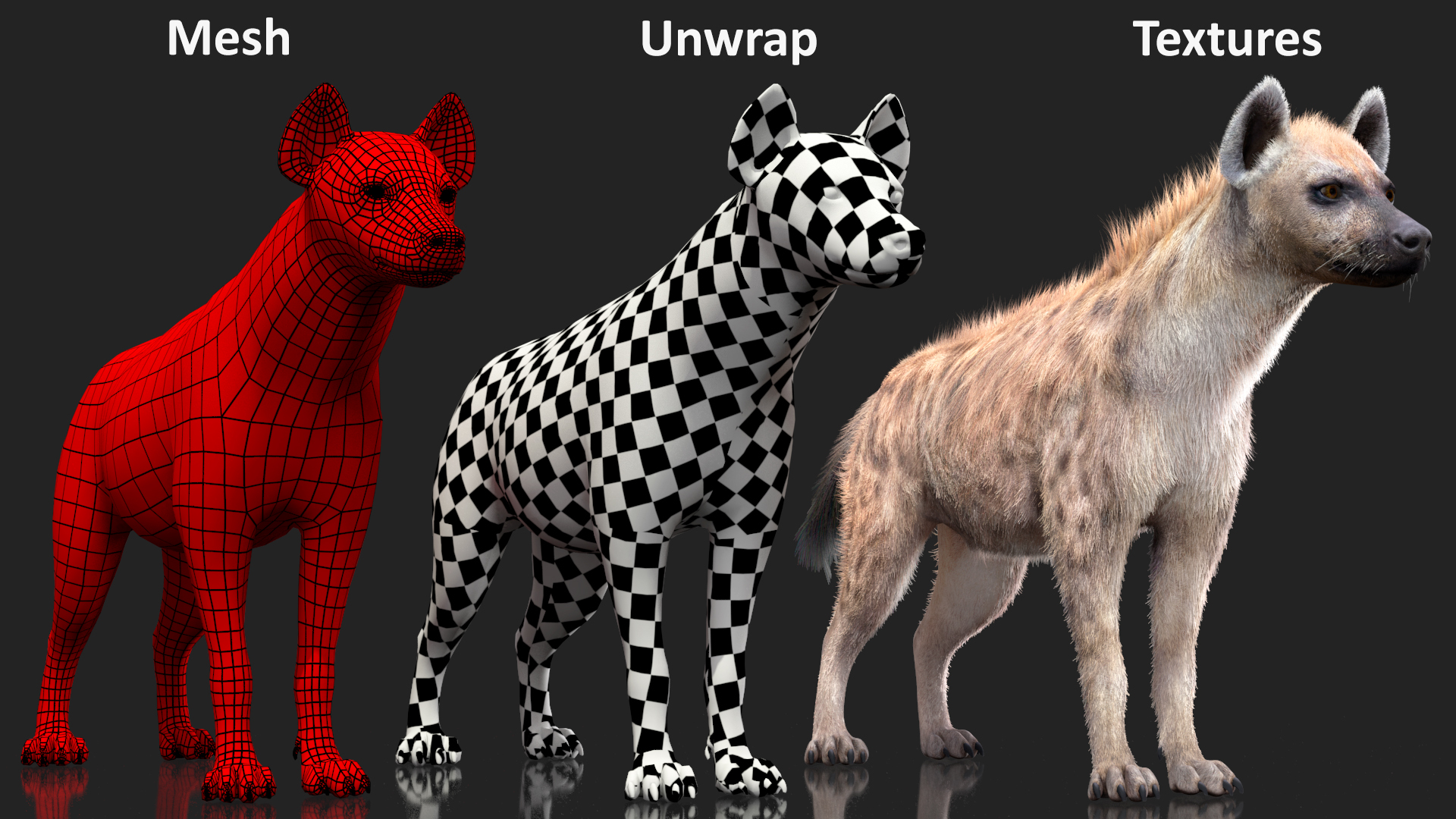 Hyena Neutral Pose Fur 3D