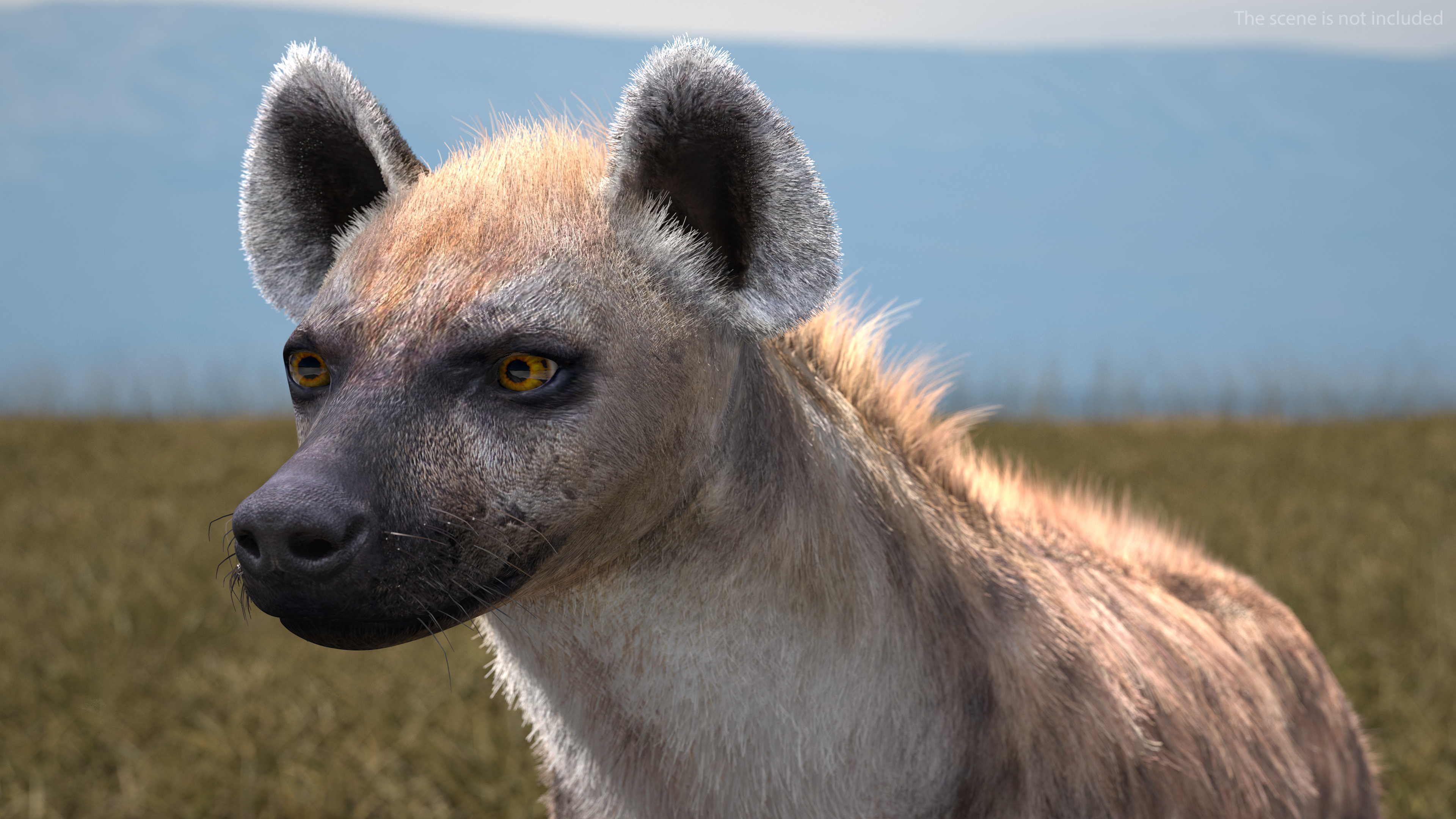 Hyena Neutral Pose Fur 3D