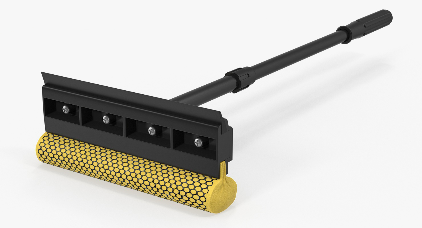 3D Window Squeegee and Sponge