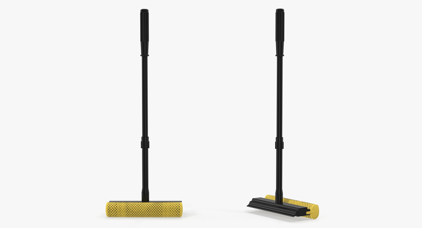 3D Window Squeegee and Sponge
