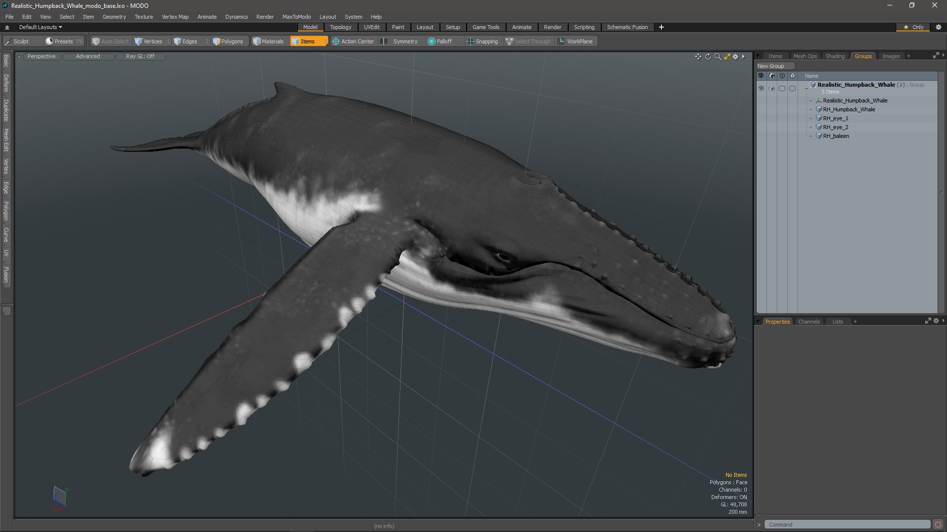 Realistic Humpback Whale 3D model