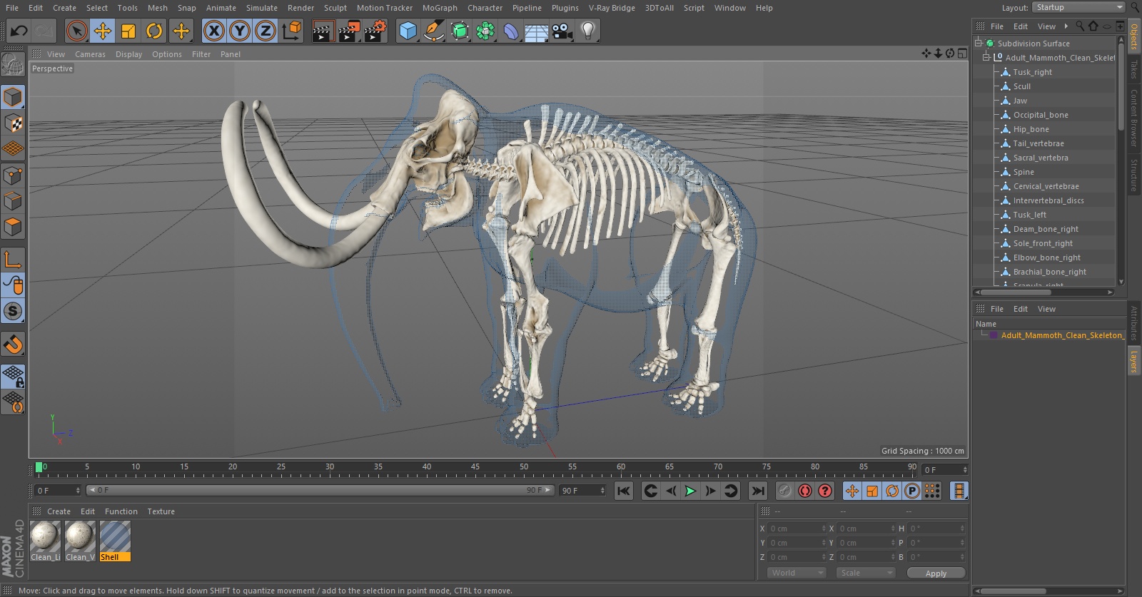 Adult Mammoth Clean Skeleton Shell 3D model
