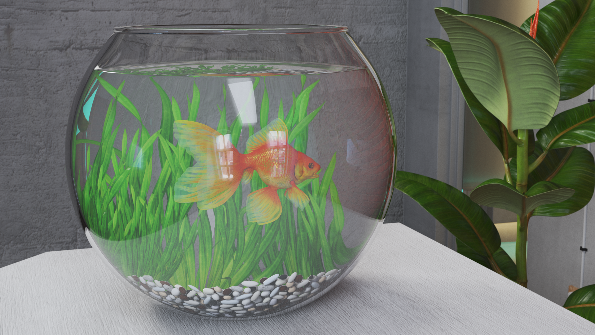 Round Aquarium with GoldFish, view 4
