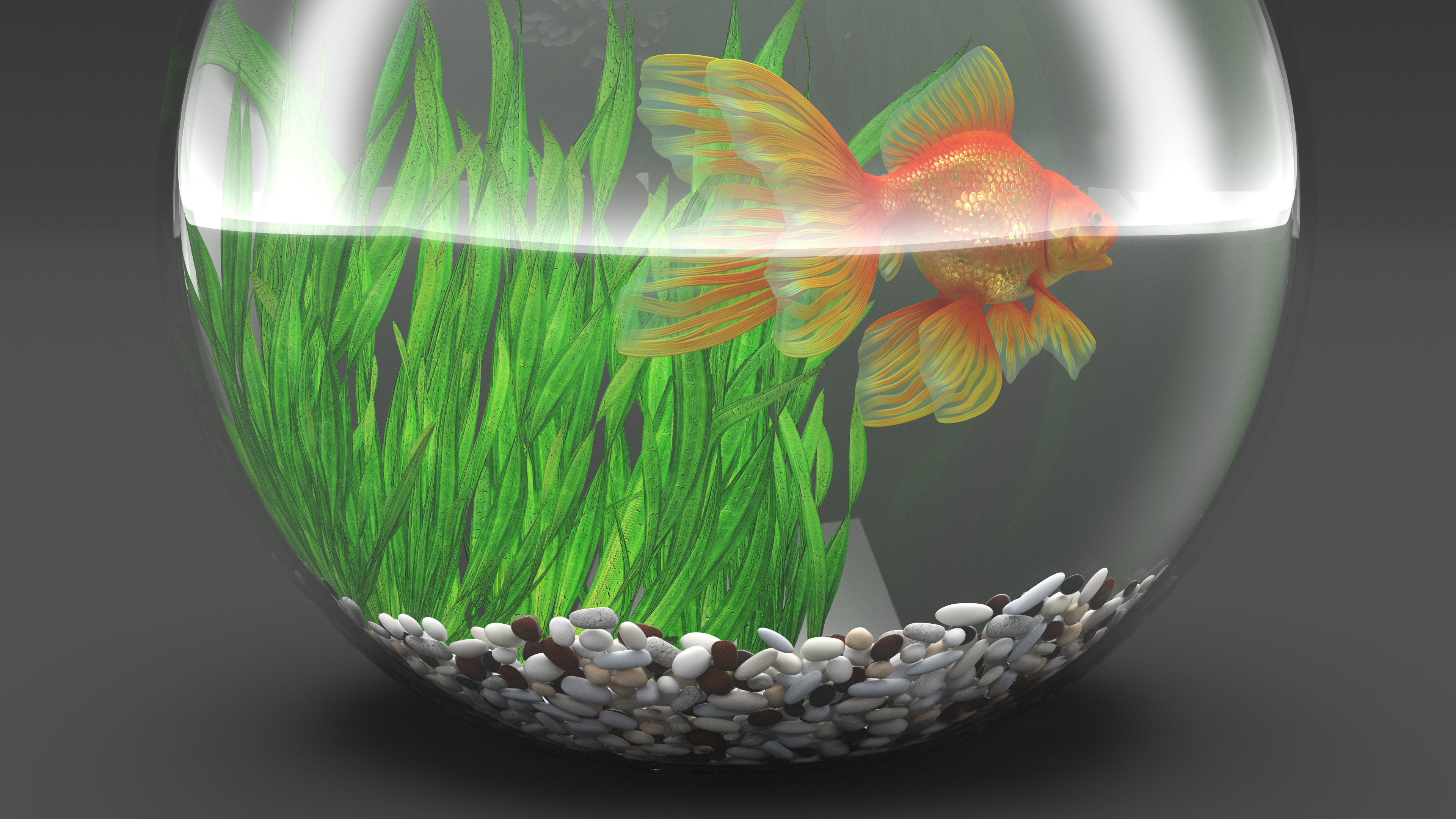 Round Aquarium with GoldFish, view 9
