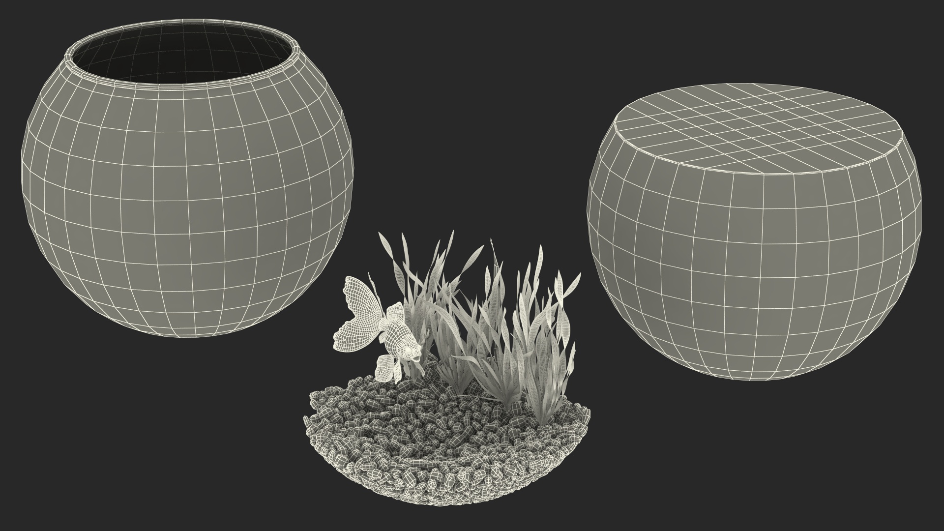 3D Round Aquarium with GoldFish model