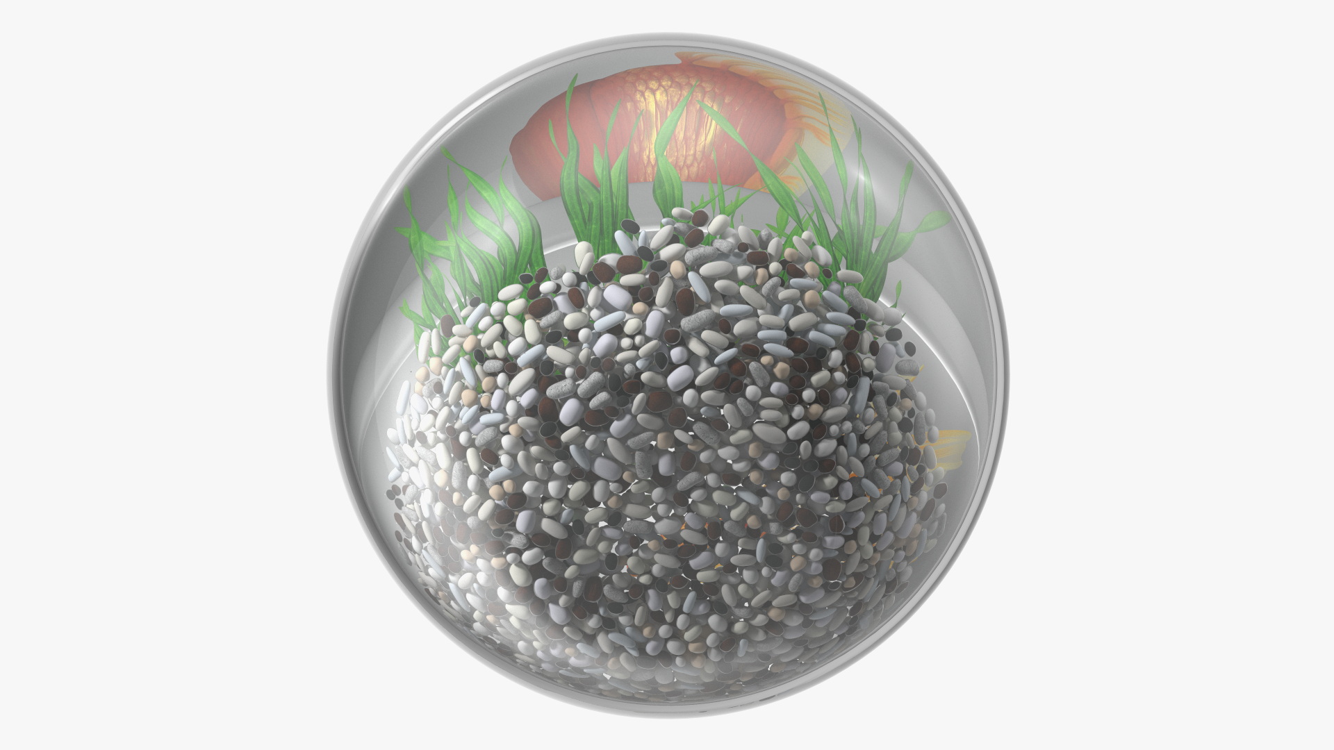 3D Round Aquarium with GoldFish model