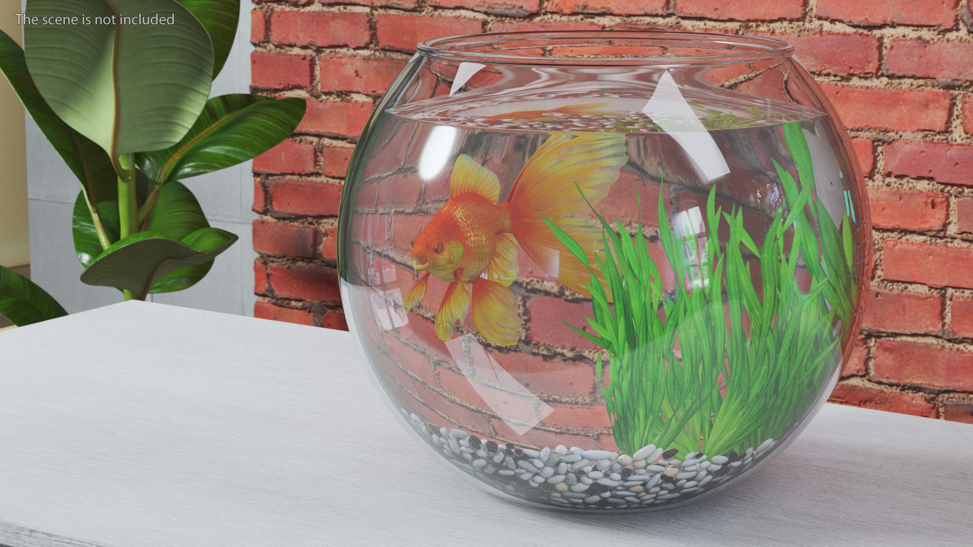 3D Round Aquarium with GoldFish model