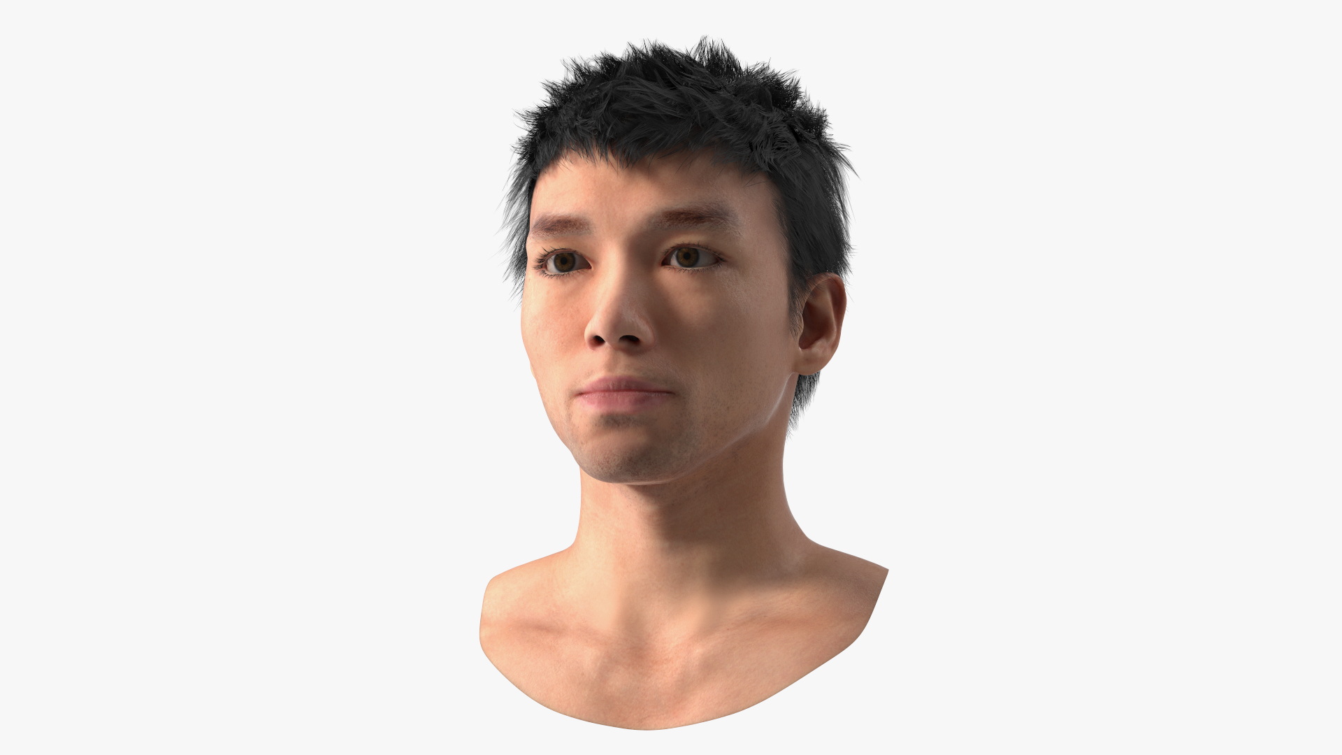 3D Head of Asian Male model