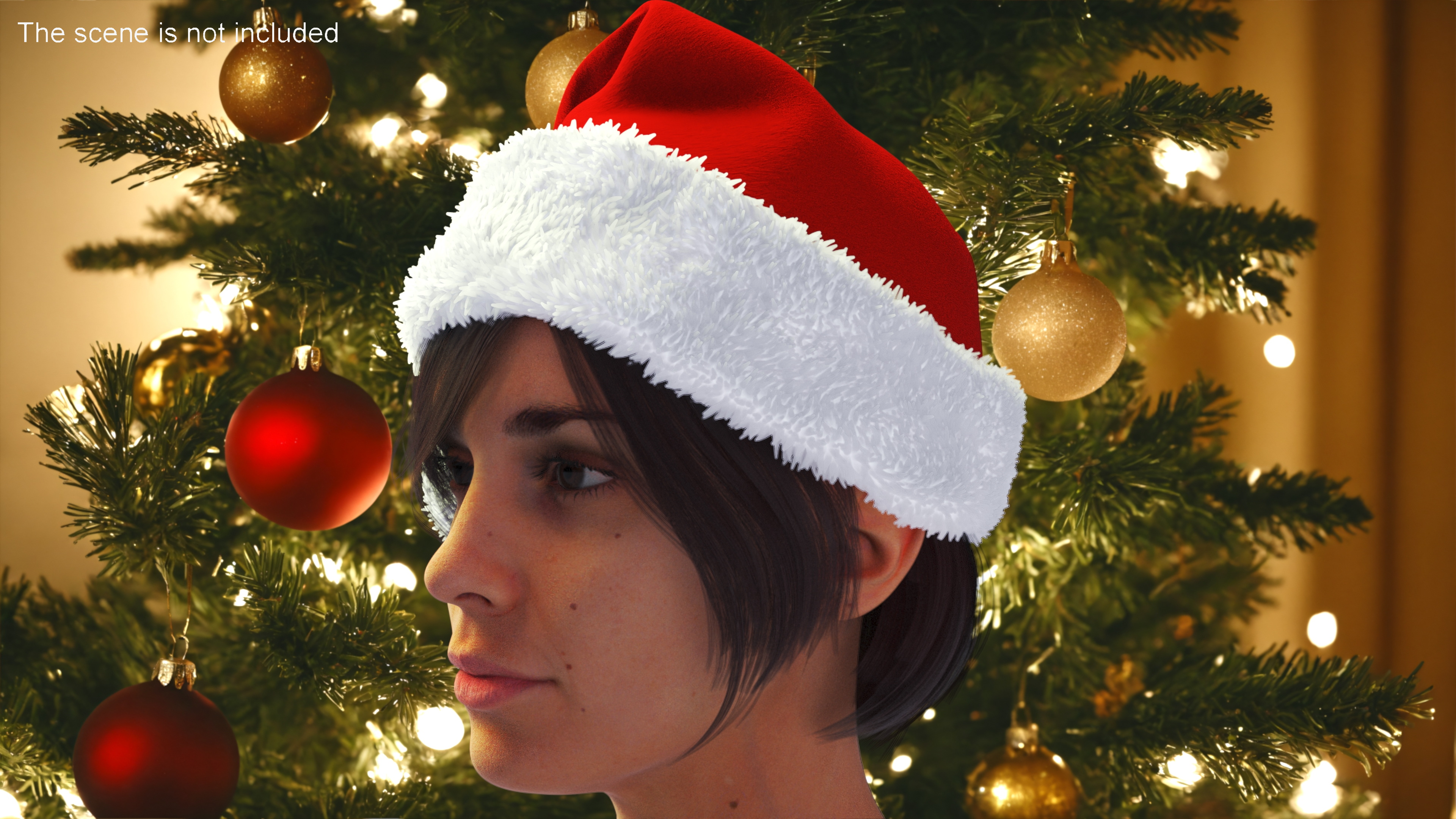 3D Christmas Santa Claus Red Hat Fur model