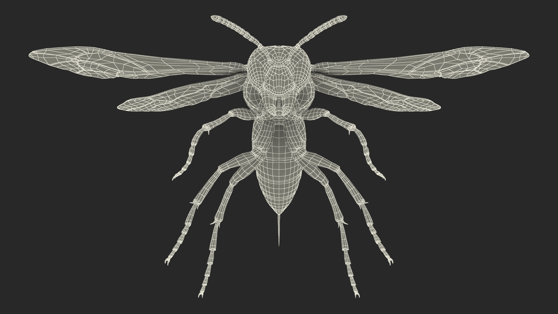 3D model Vespid Wasp Fur