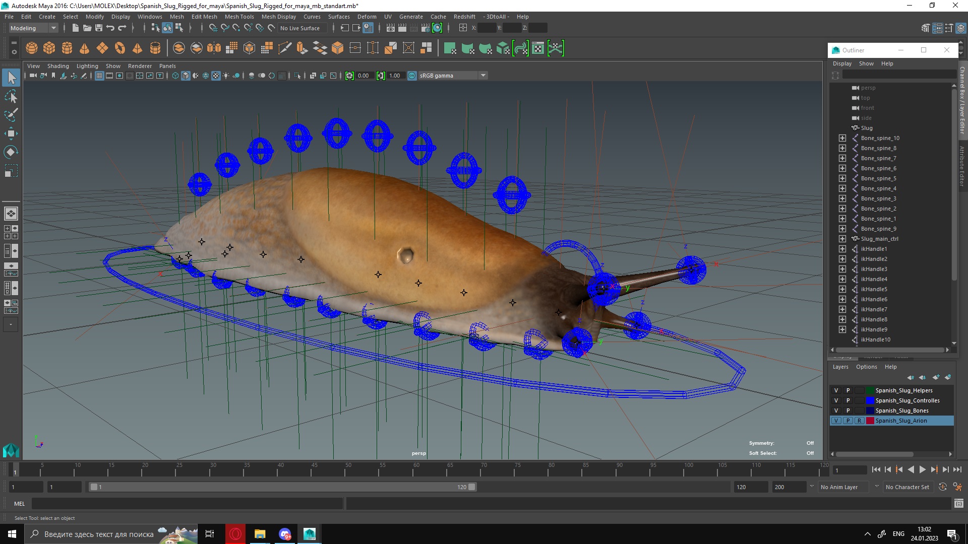3D Spanish Slug Rigged for Maya model