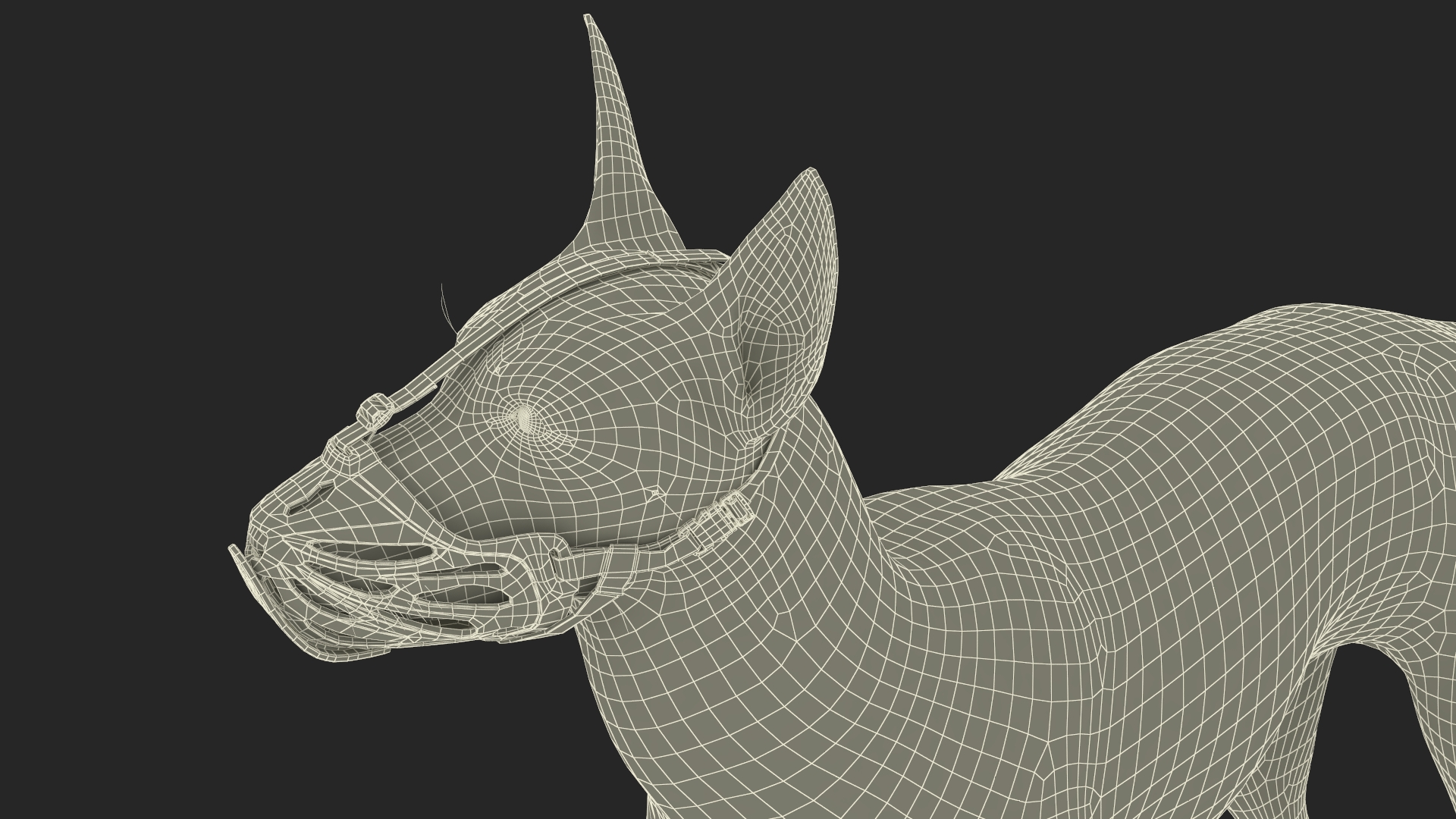 Xoloitzcuintli Rare Breed Mexican Dog with Muzzle 3D model
