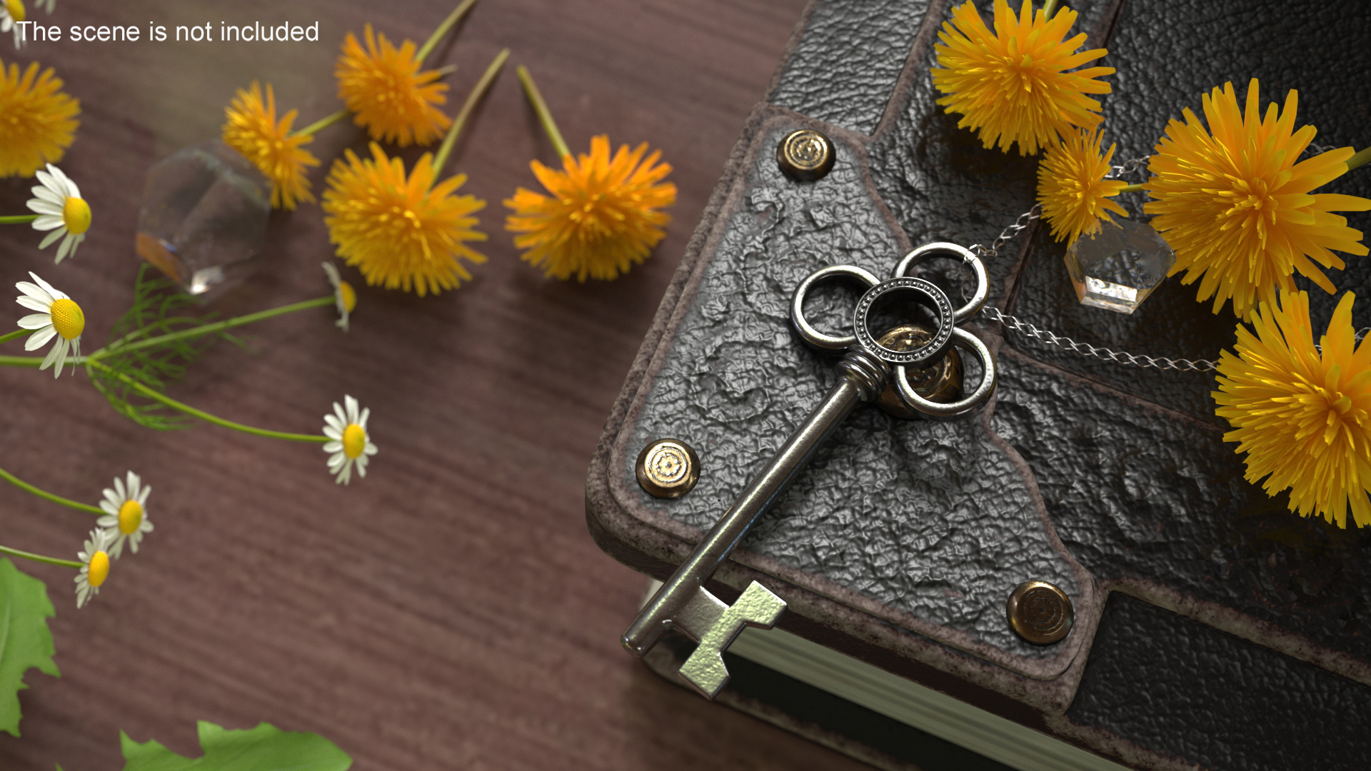 3D Traditional Skeleton Key Silver