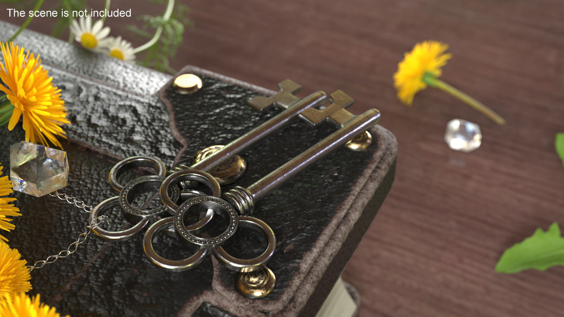 3D Traditional Skeleton Key Silver