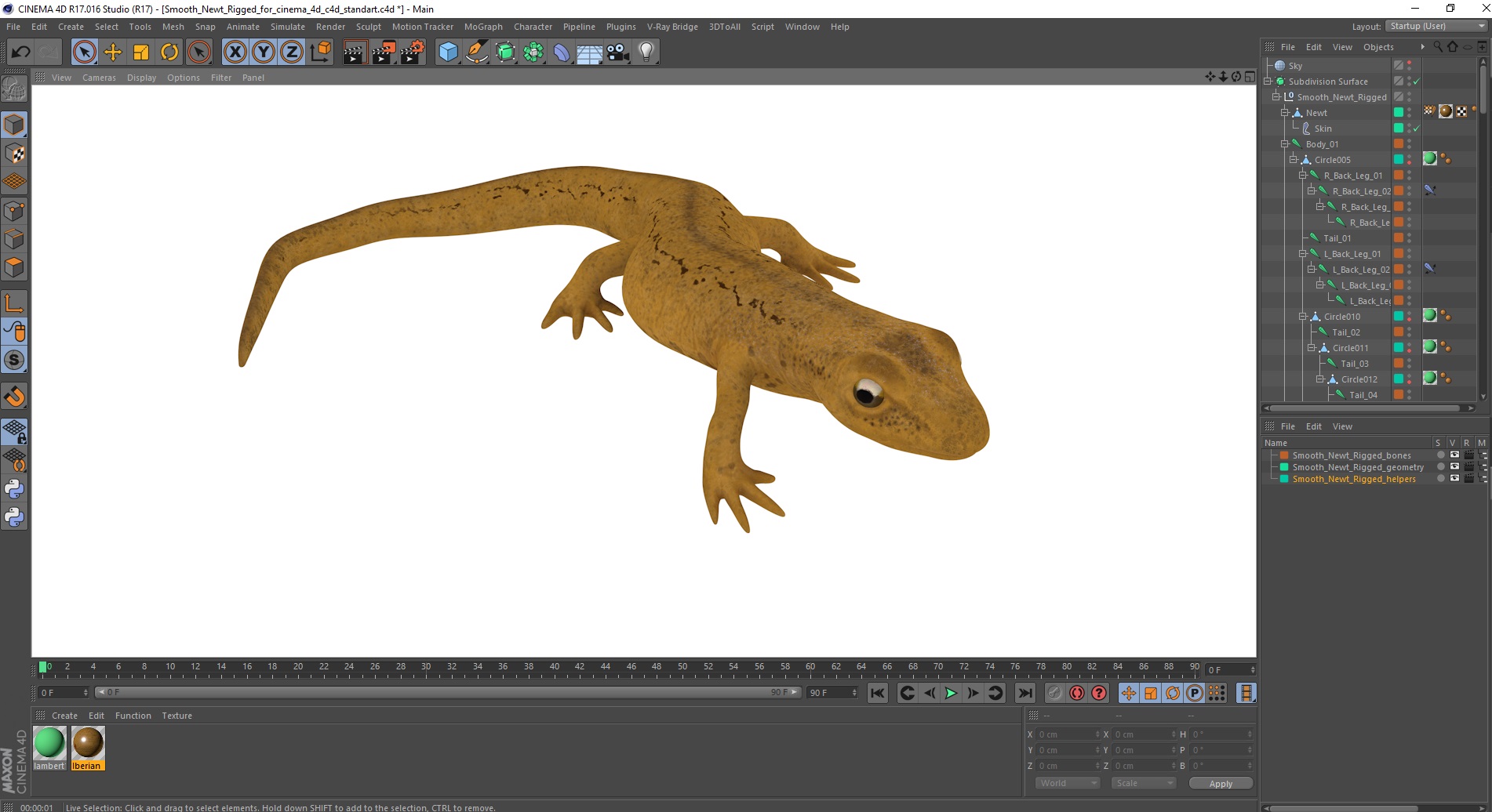 Smooth Newt Rigged for Cinema 4D 3D