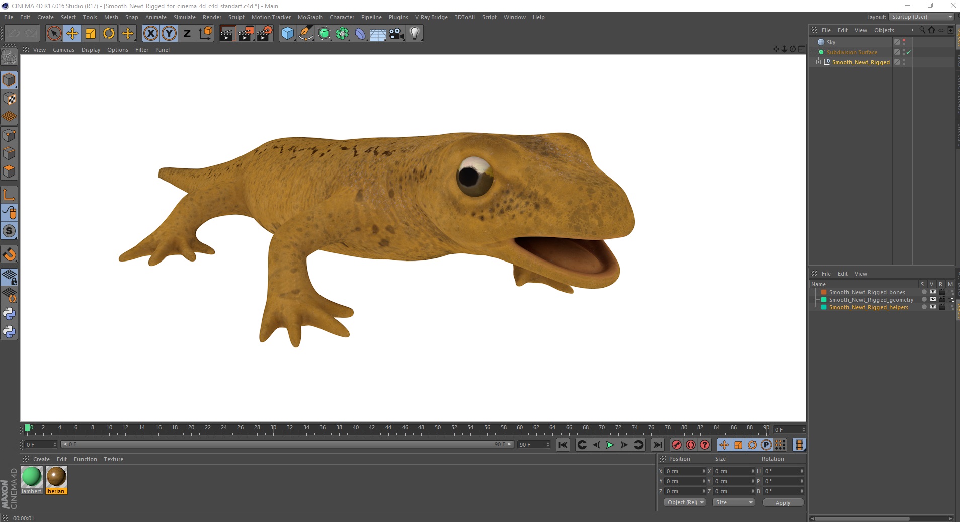 Smooth Newt Rigged for Cinema 4D 3D