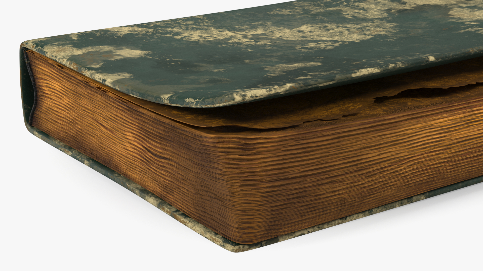 3D Closed Clean Old Book