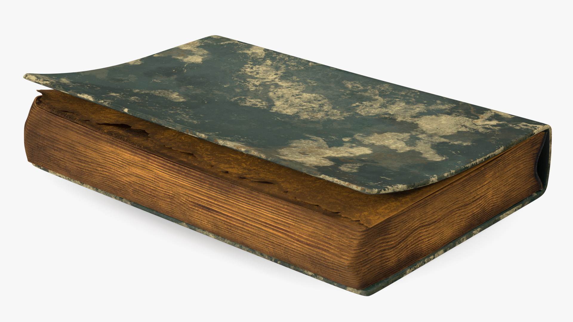3D Closed Clean Old Book