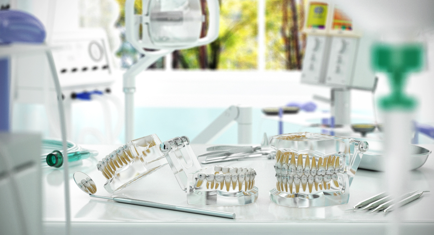 3D Transparent Dental Typodont Teeth Model With Braces