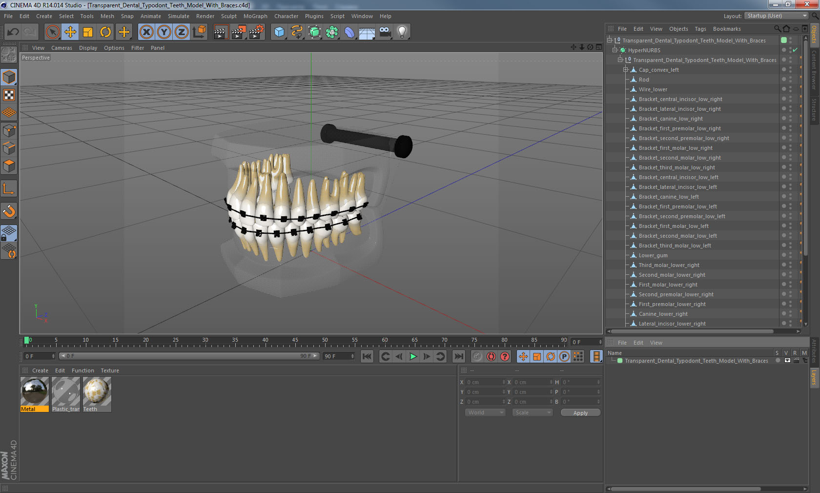 3D Transparent Dental Typodont Teeth Model With Braces