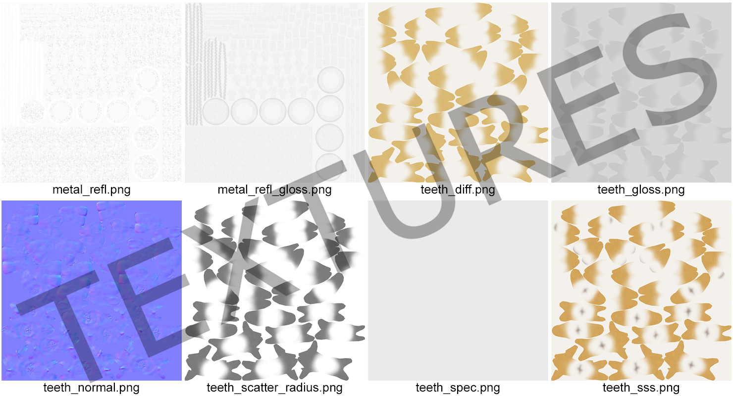 3D Transparent Dental Typodont Teeth Model With Braces