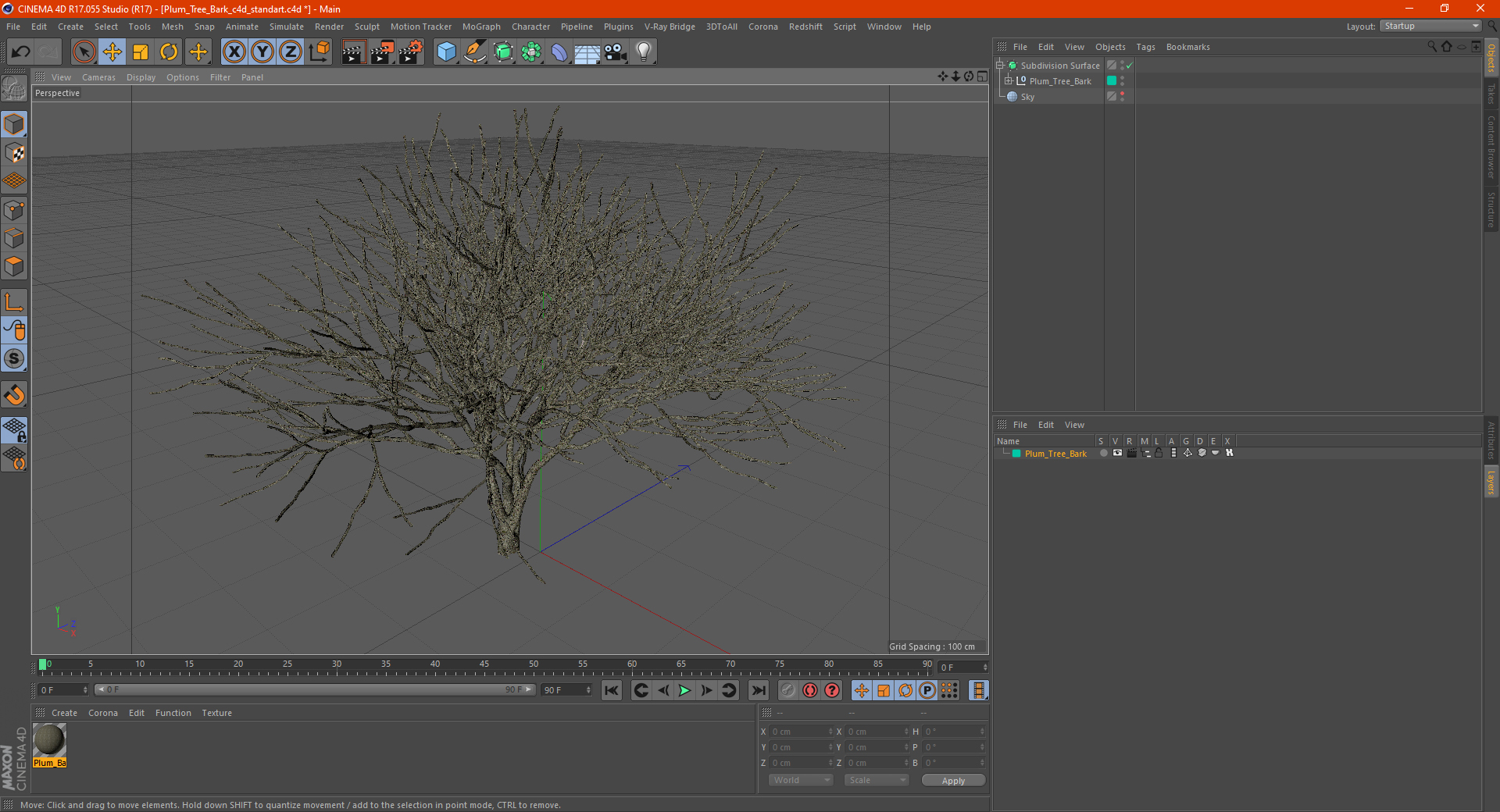 Plum Tree Bark 3D model