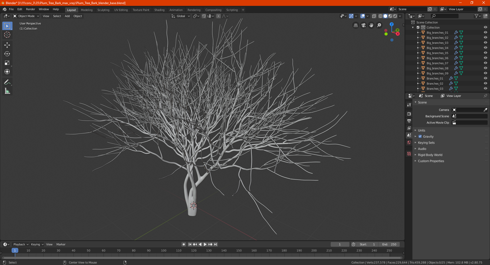 Plum Tree Bark 3D model