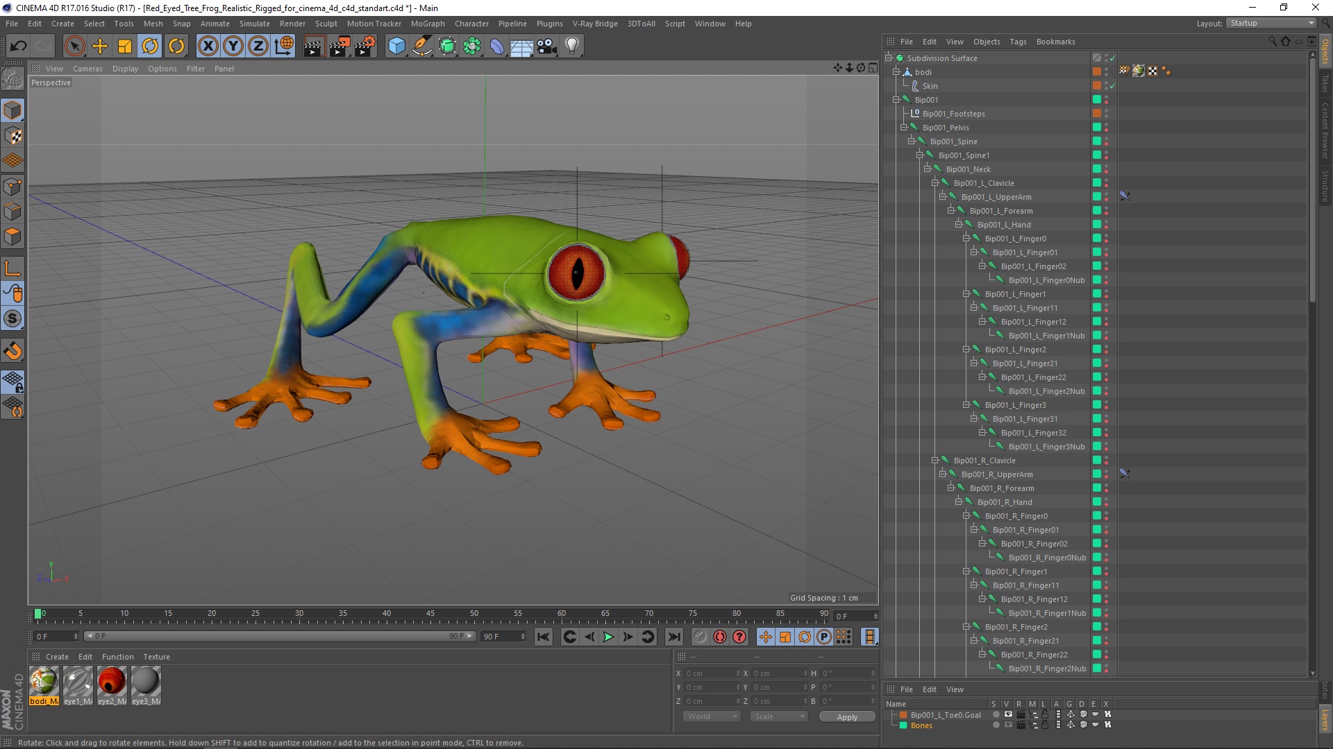 Red Eyed Tree Frog Realistic Rigged for Cinema 4D 3D model