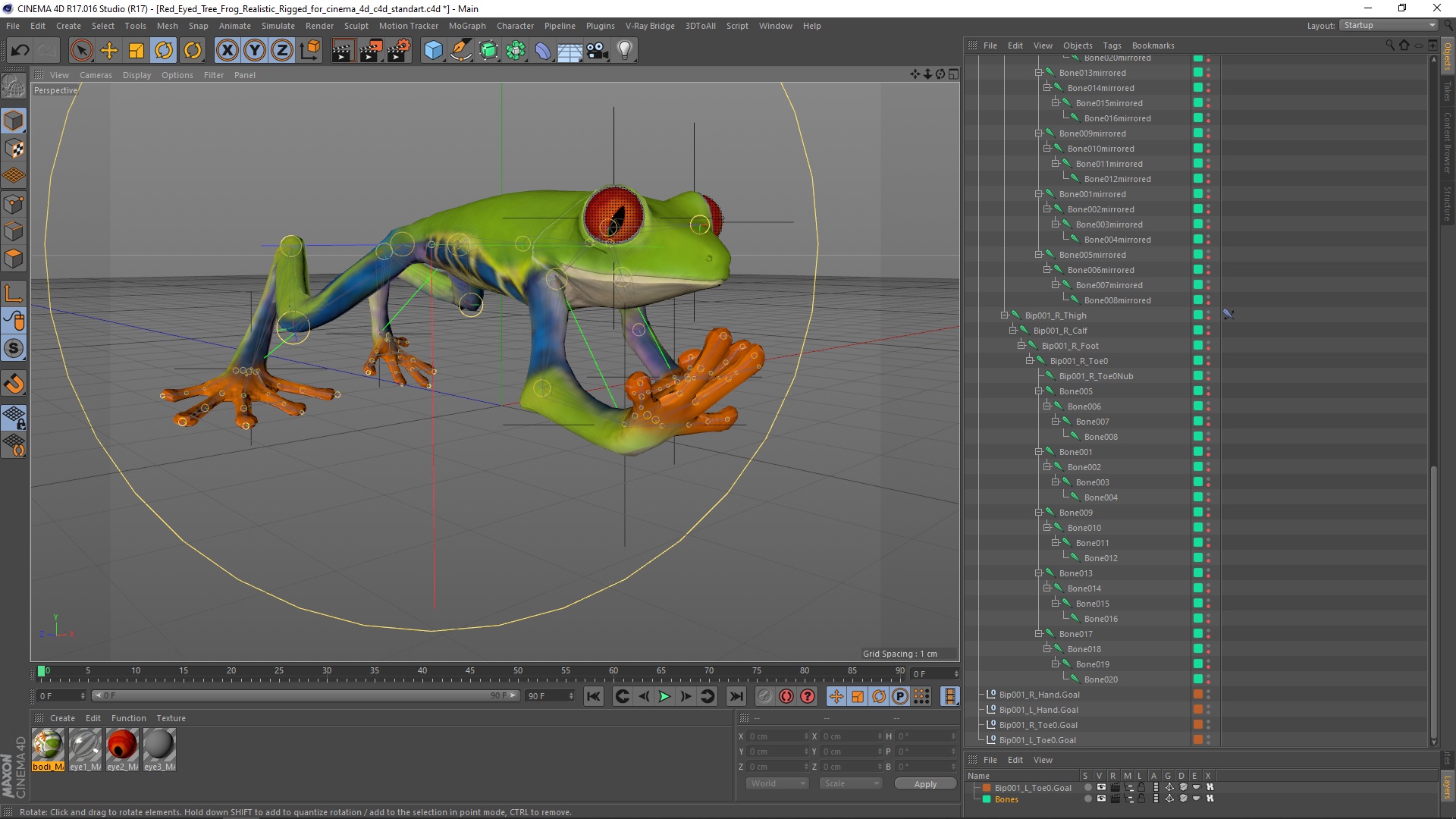 Red Eyed Tree Frog Realistic Rigged for Cinema 4D 3D model