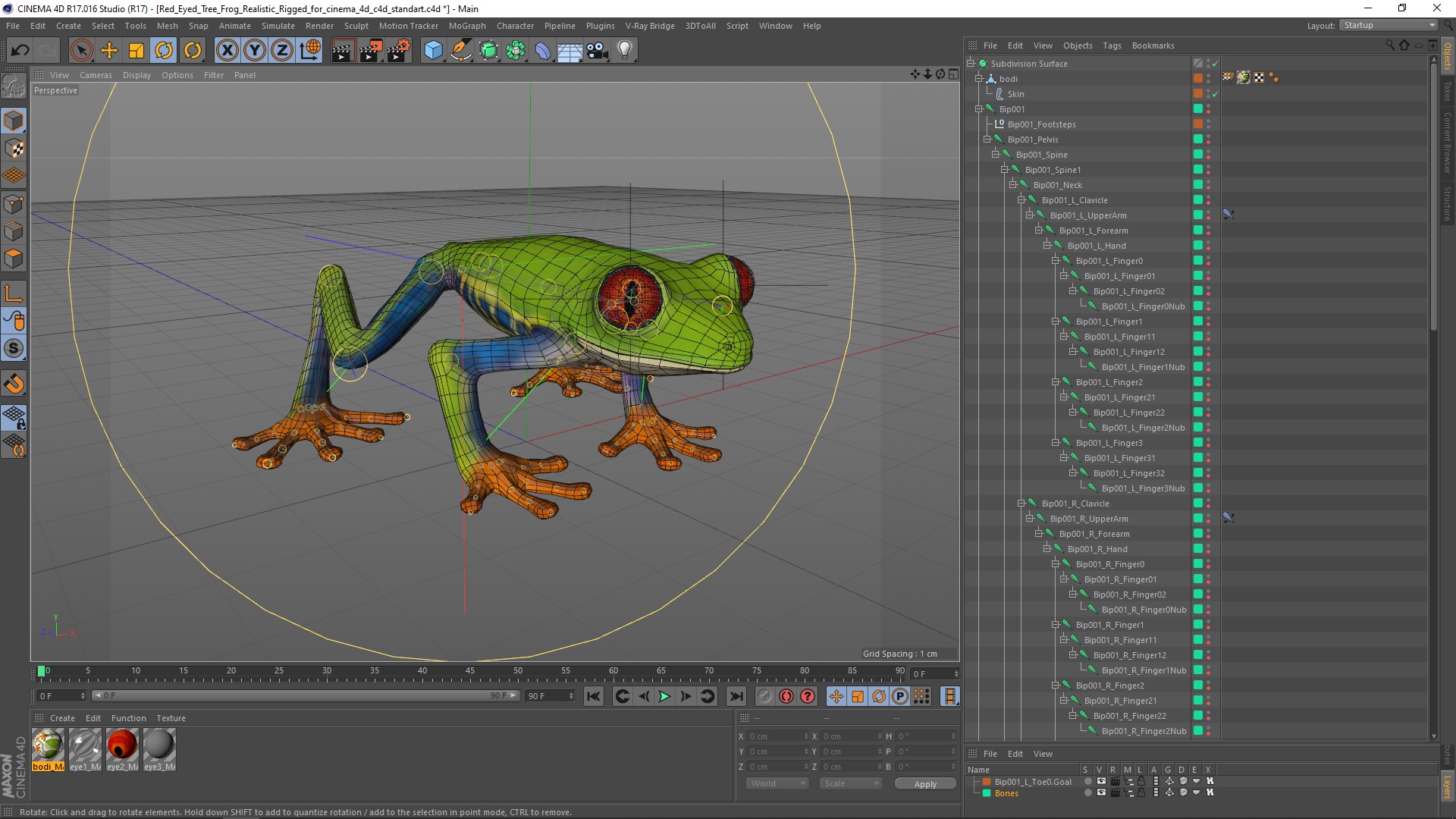 Red Eyed Tree Frog Realistic Rigged for Cinema 4D 3D model