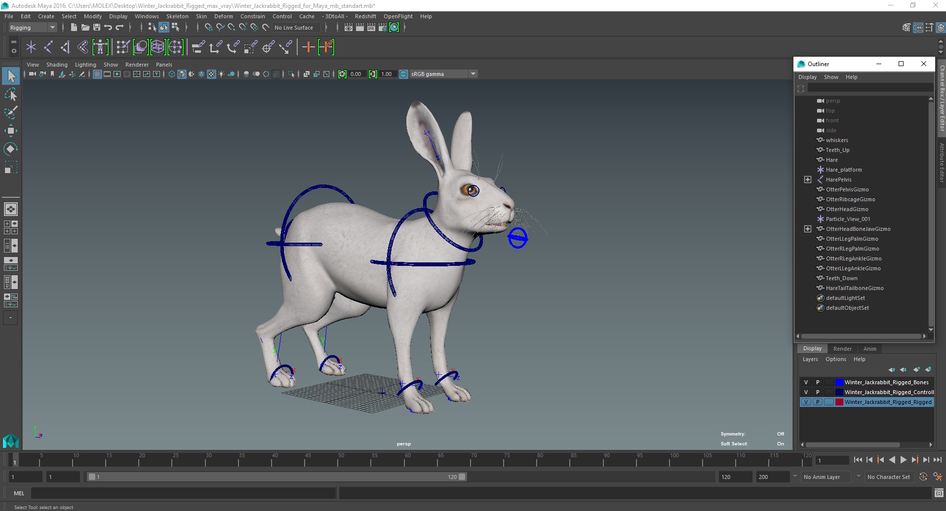 3D Winter Jackrabbit Rigged for Maya model