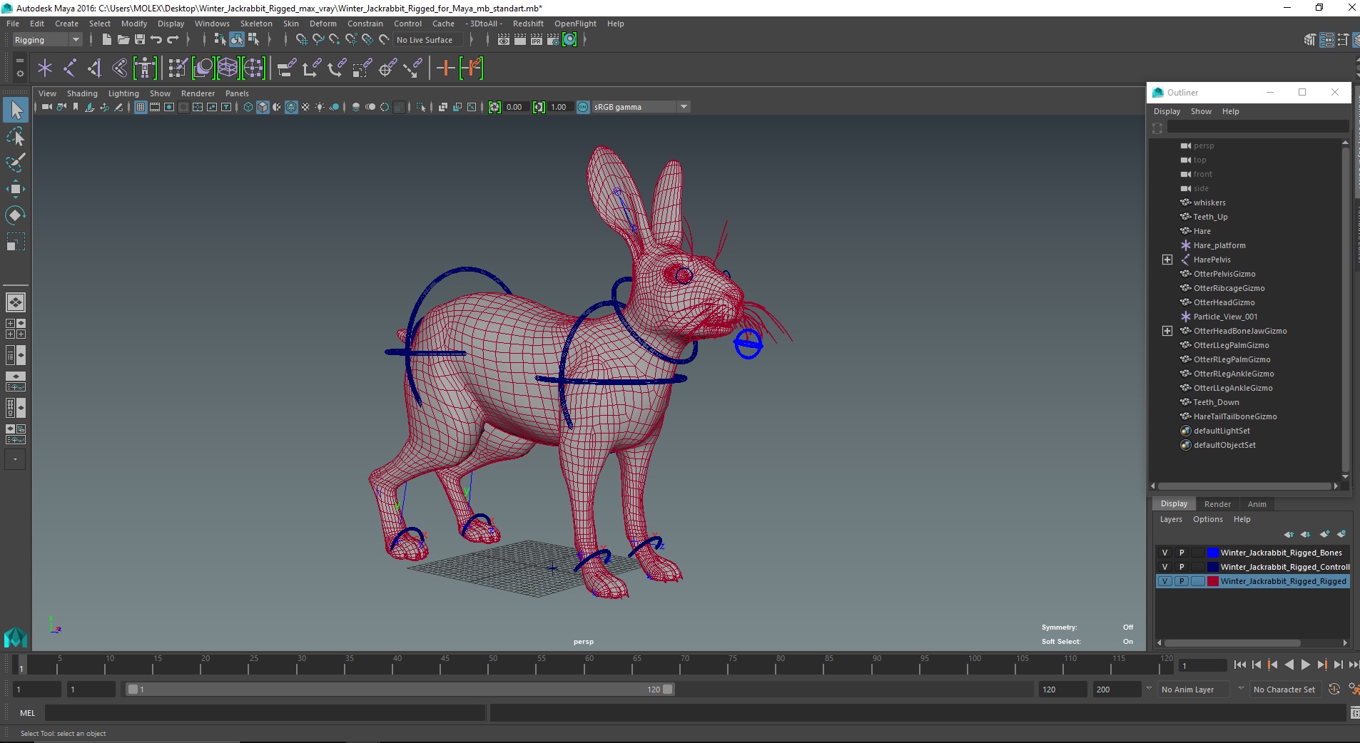 3D Winter Jackrabbit Rigged for Maya model