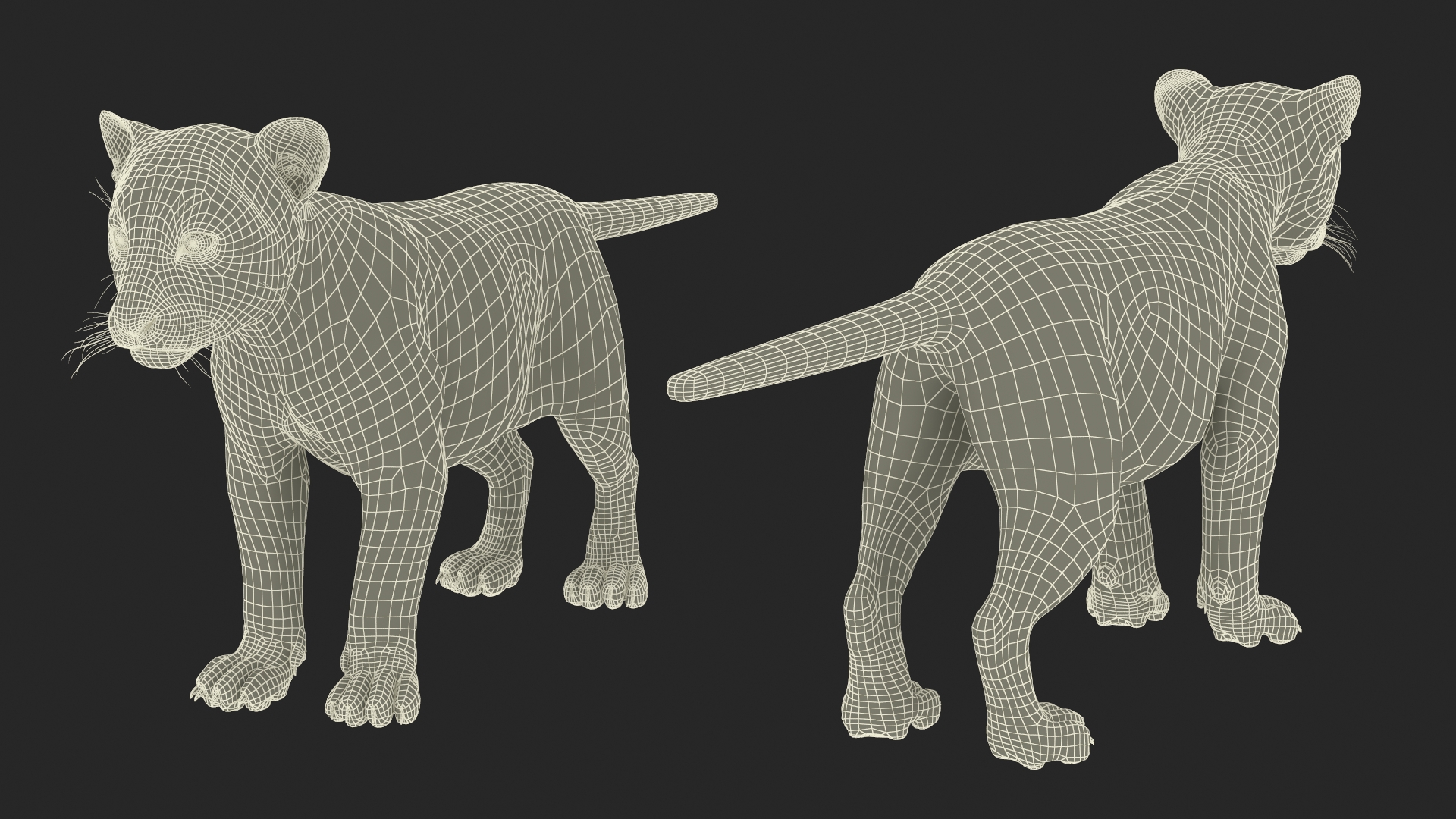3D Tiger Cub Fur model