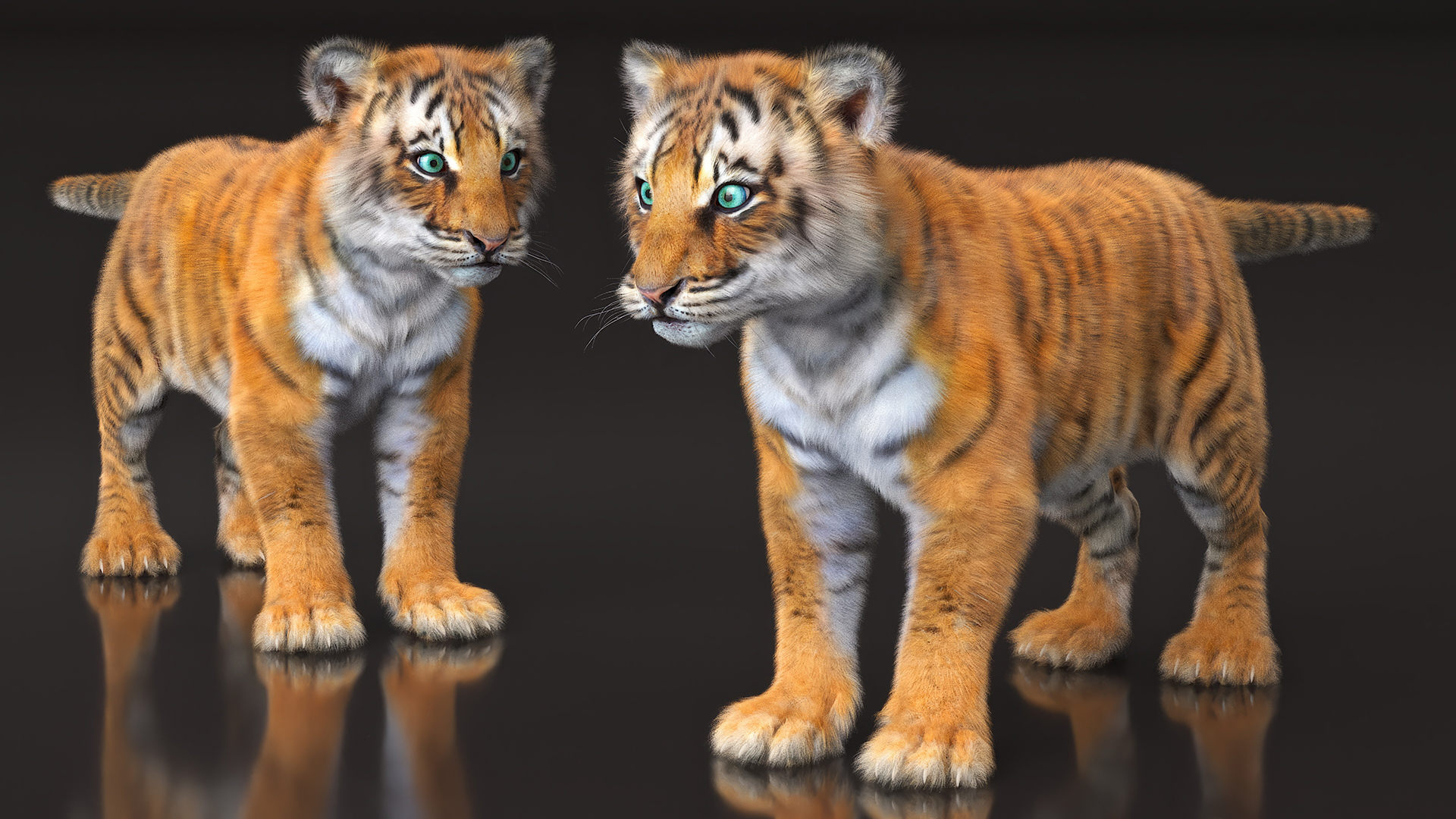 3D Tiger Cub Fur model