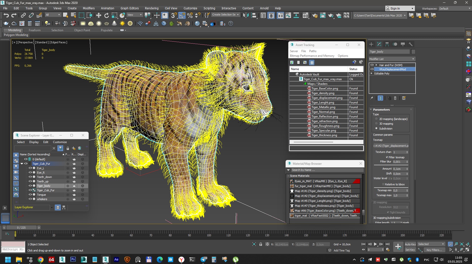 3D Tiger Cub Fur model