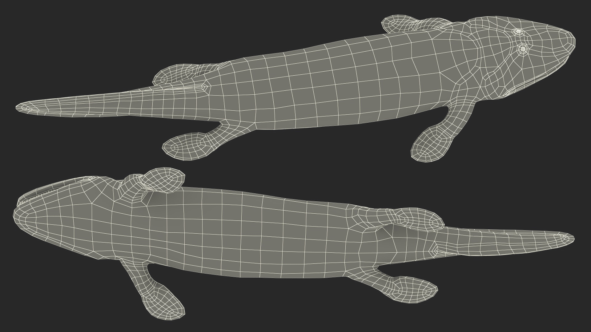 3D model Tiktaalik Rigged for Cinema 4D