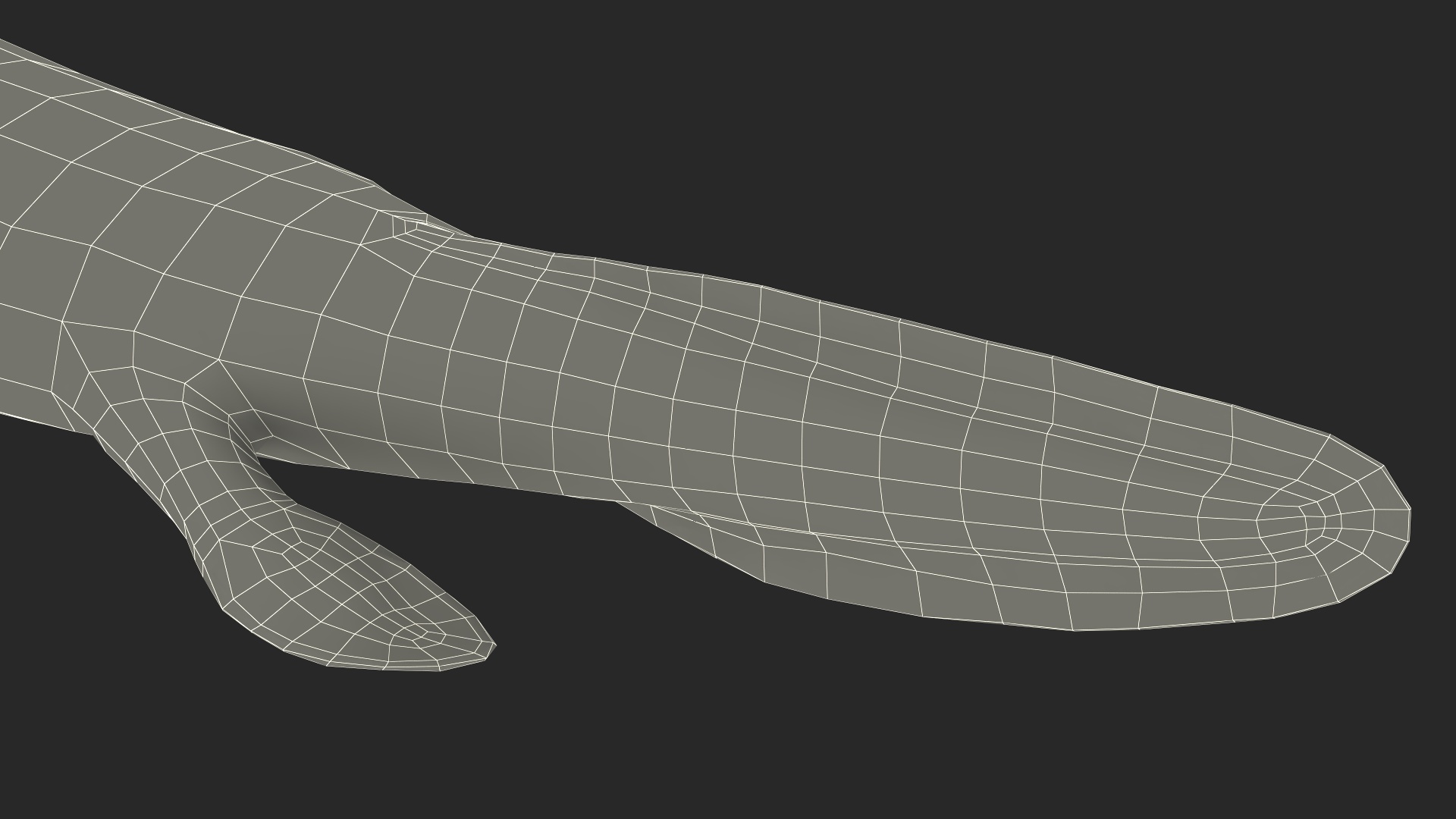3D model Tiktaalik Rigged for Cinema 4D