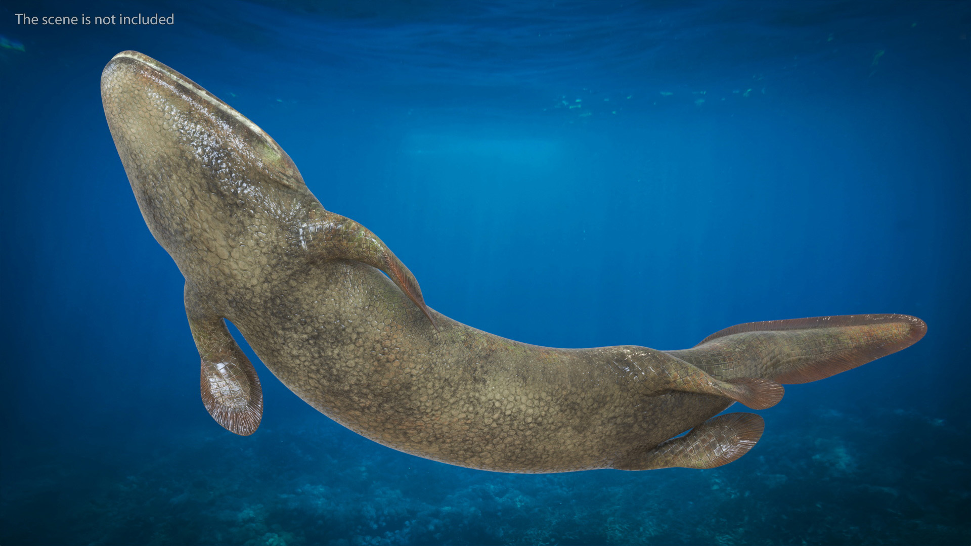 3D model Tiktaalik Rigged for Cinema 4D