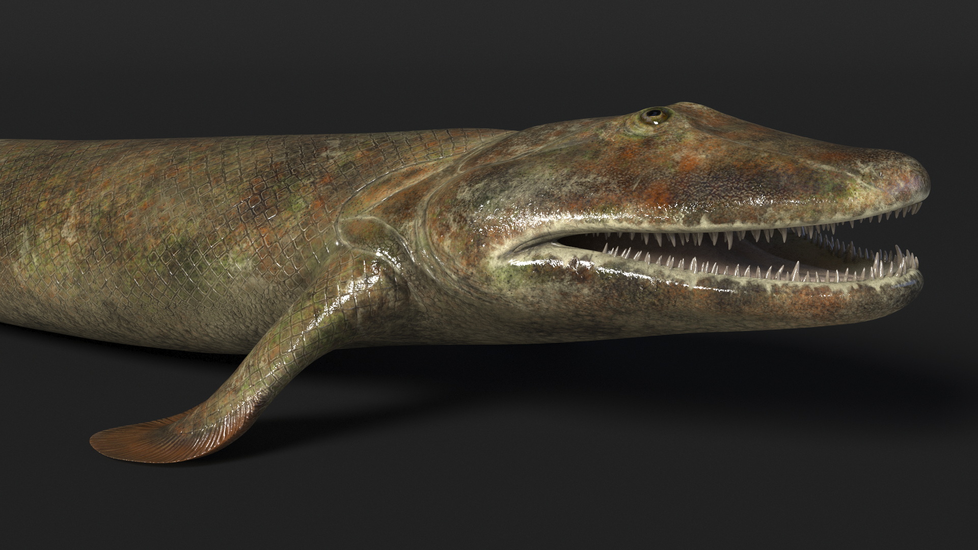 3D model Tiktaalik Rigged for Cinema 4D