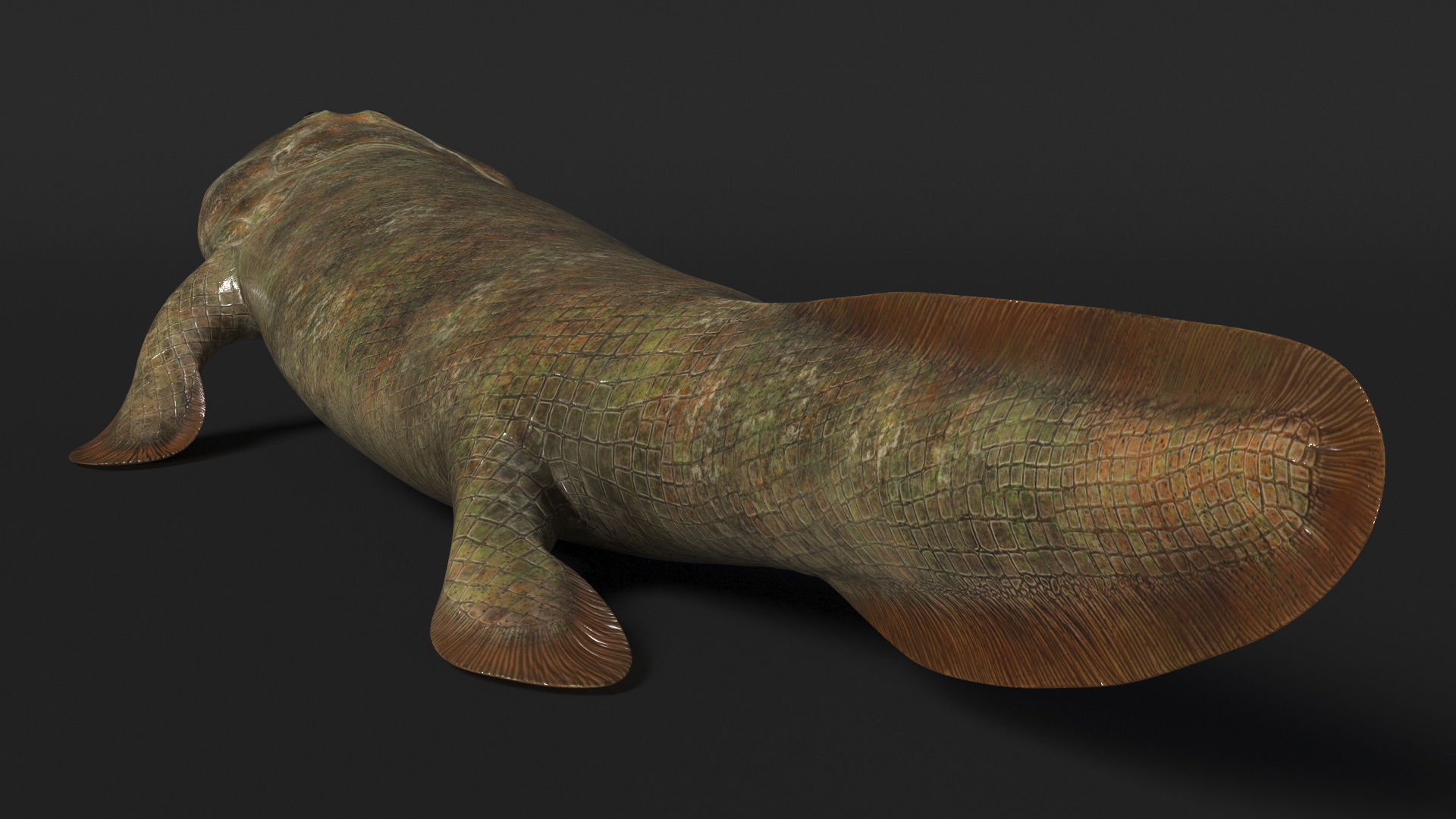 3D model Tiktaalik Rigged for Cinema 4D