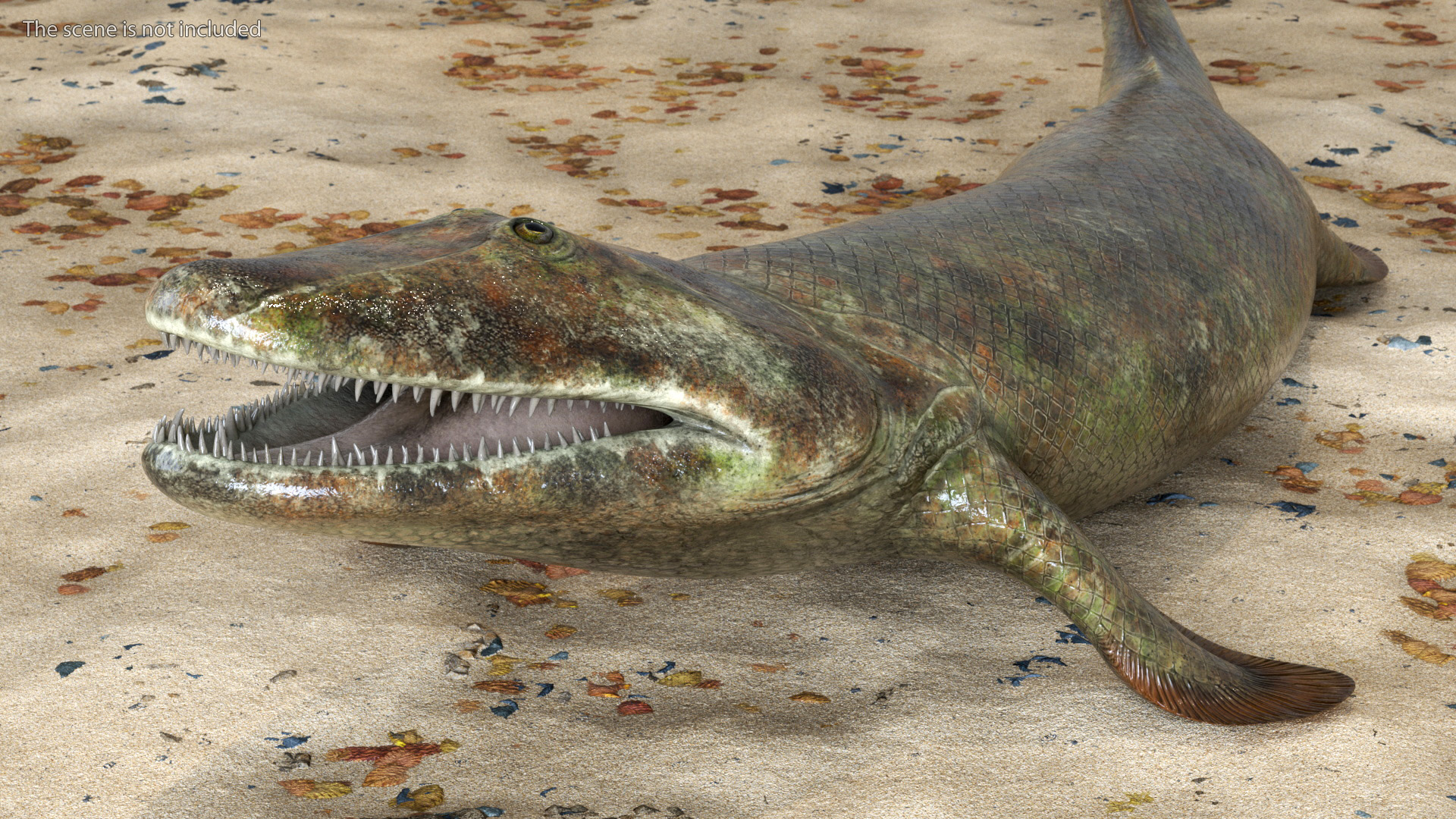 3D model Tiktaalik Rigged for Cinema 4D