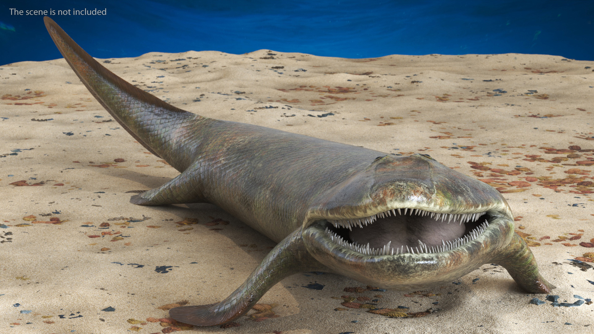 3D model Tiktaalik Rigged for Cinema 4D