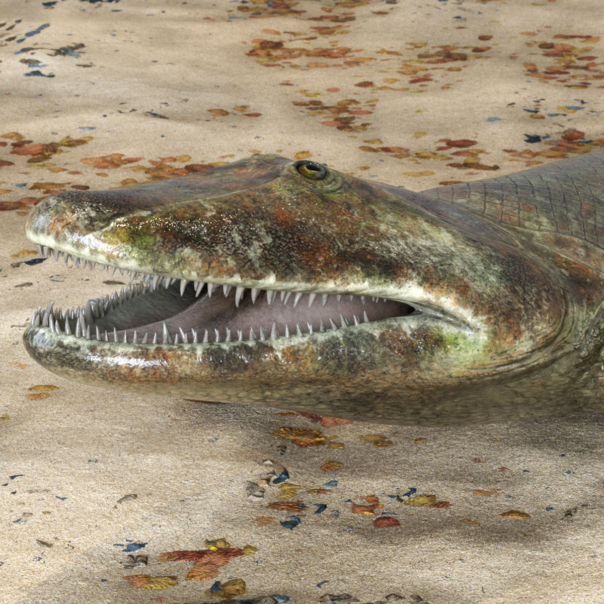 3D model Tiktaalik Rigged for Cinema 4D