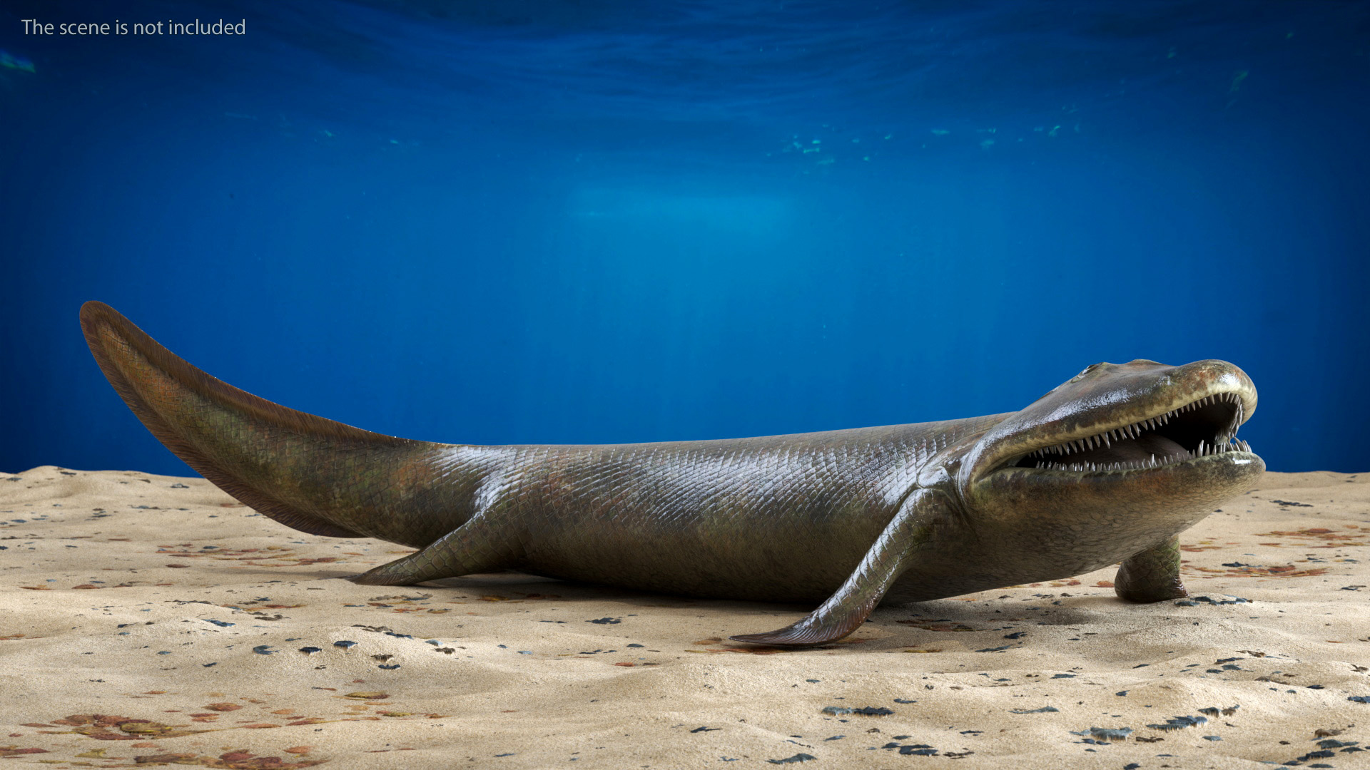 3D model Tiktaalik Rigged for Cinema 4D