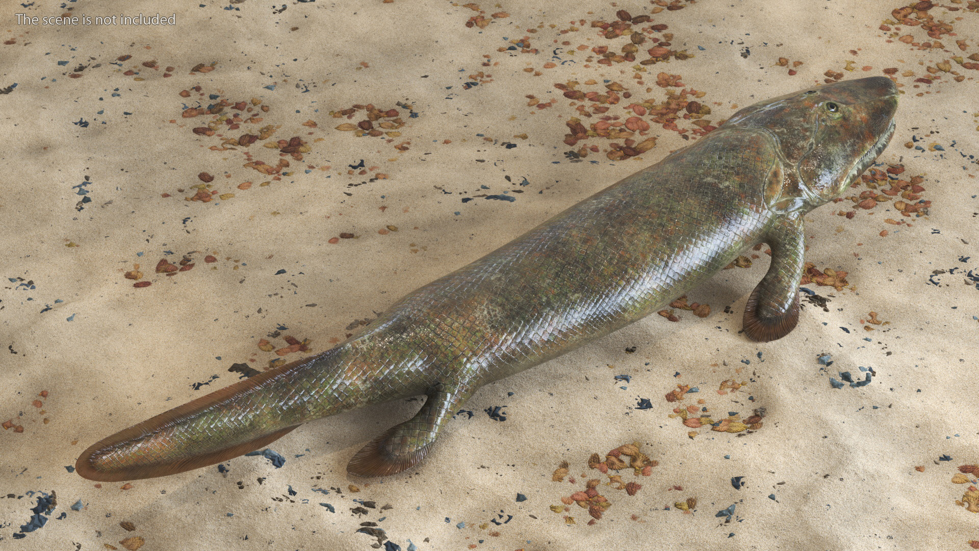 3D model Tiktaalik Rigged for Cinema 4D